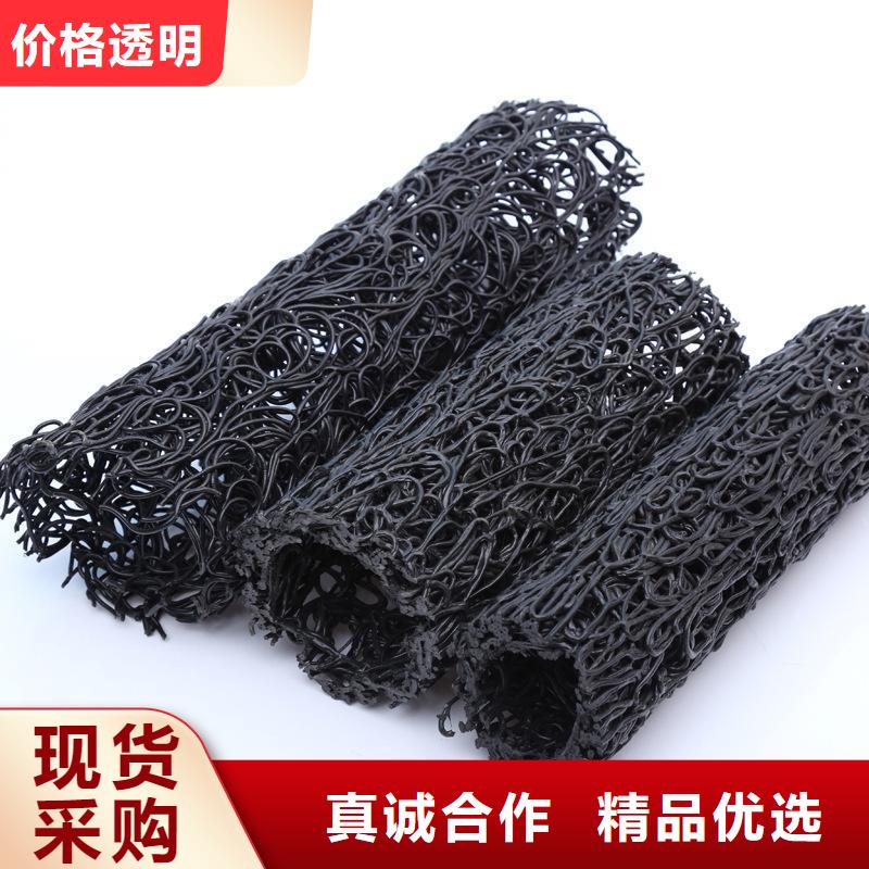 【塑料盲沟】,三维复合排水网拥有核心技术优势厂家