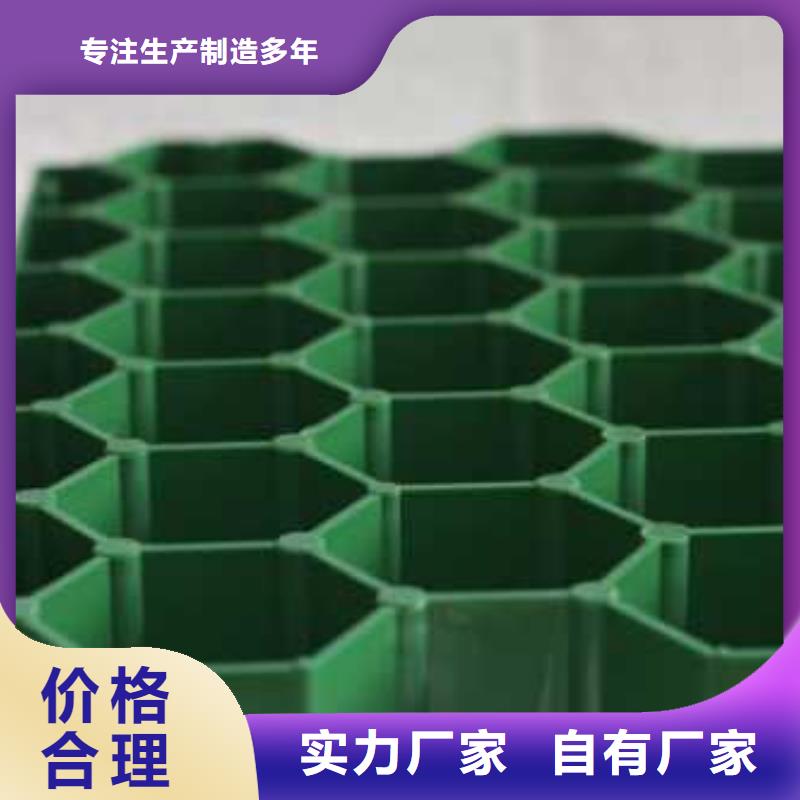 植草格玻纤土工格栅现货供应附近厂家