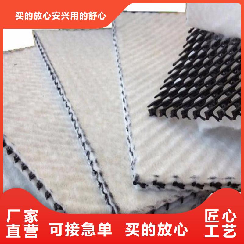 三维复合排水网长丝土工布供您所需质量安心