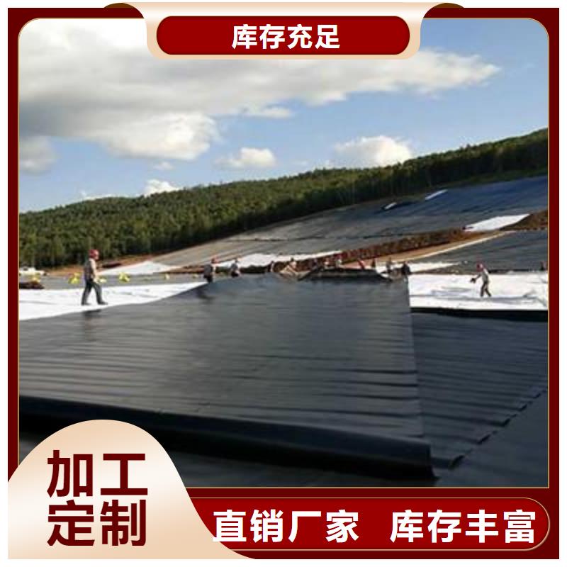 土工膜【三维植被网】用品质赢得客户信赖源厂定制