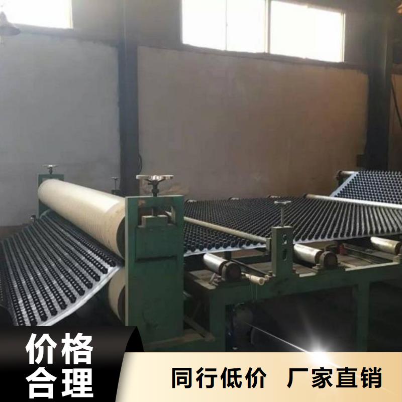 蓄排水板【三维复合排水网】核心技术厂家直接面向客户