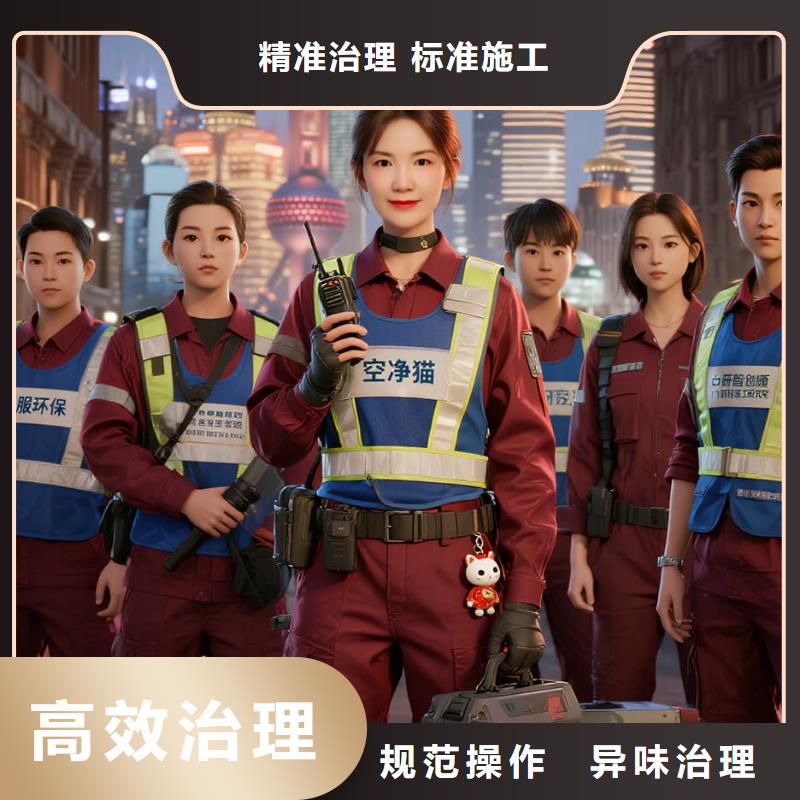 上门除甲醛检测治理找空净猫全国直营品牌徐州新沂市新安街道新安社区 上门除甲醛公司 空净猫全国直营诚信经营2024公司