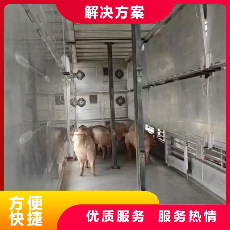 新乡至林芝种猪恒温车运输体系完善