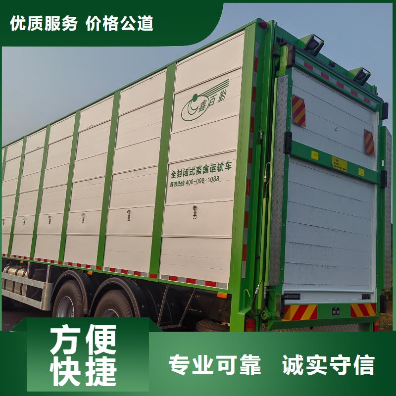 芜湖到大庆牲畜运输顺畅