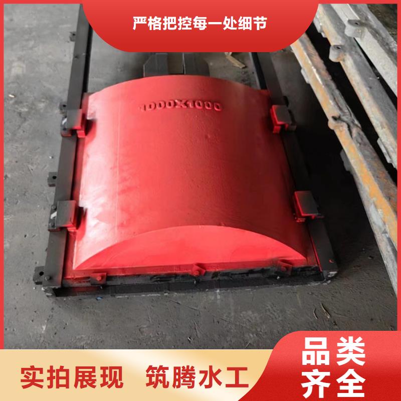 机门一体闸门信誉有保证质量为本