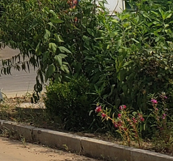 桥梁护栏  不用河堤护栏客户信赖的厂家