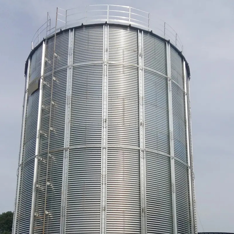 装配式粮仓钢板仓存储仓实体大厂