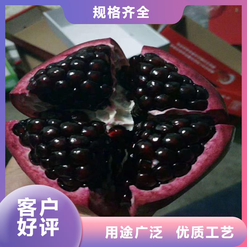 【石榴石榴苗货源稳定】懂您所需