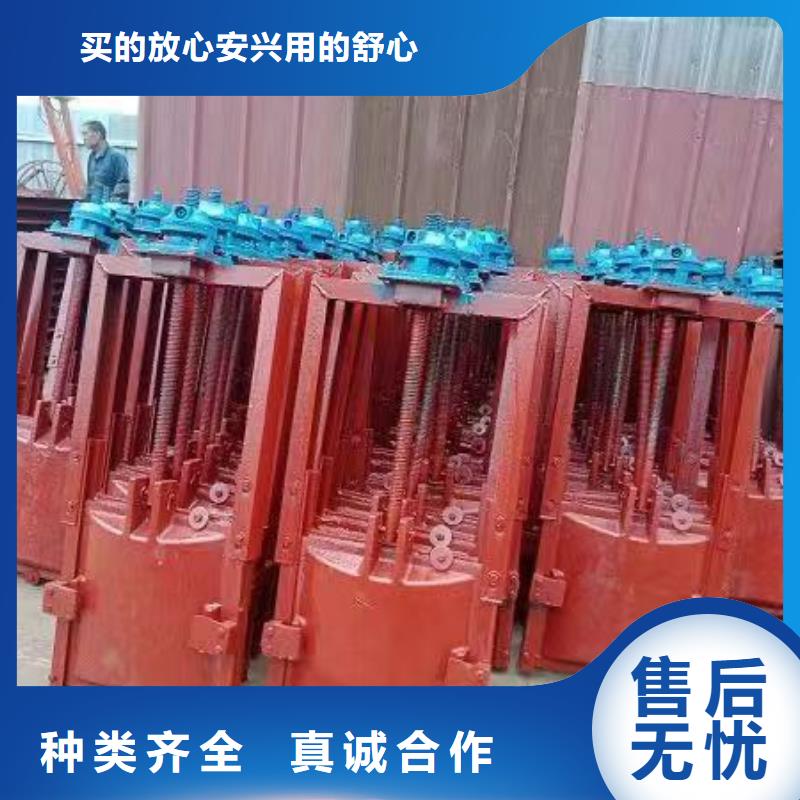 儋州市铸铁镶铜闸门-平面钢闸门防腐钢制闸门精益求精本地范围货源