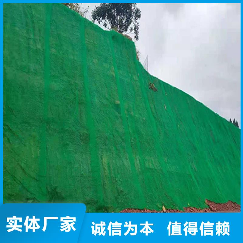 三维植被网土工格栅安装简单辖区内服务商