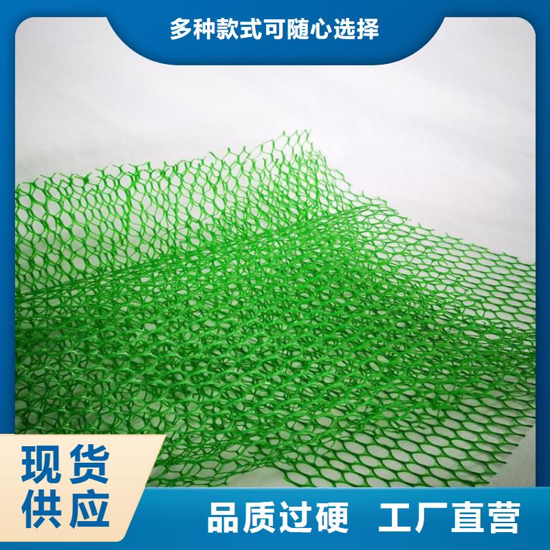 三维植被网,塑料土工格栅型号全价格低本土货源