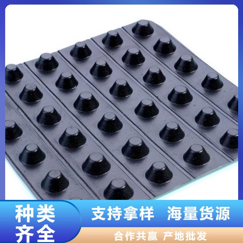 排水板, 植草格今日价格同城区域生产商