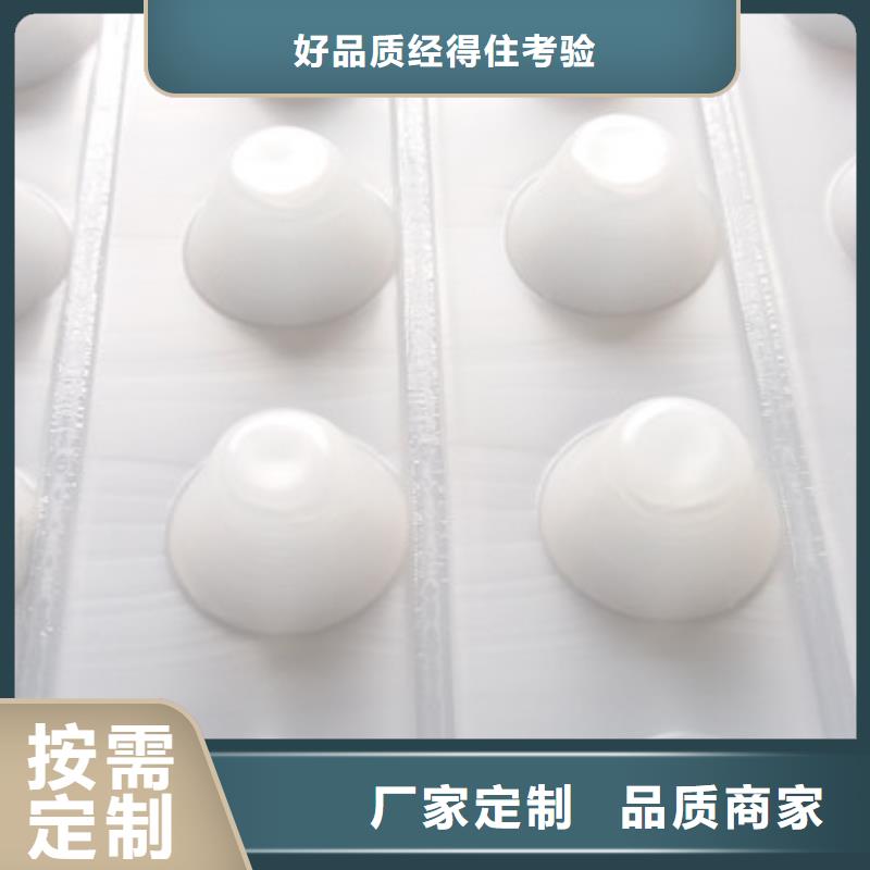 【排水板】 植草格质量可靠供应采购