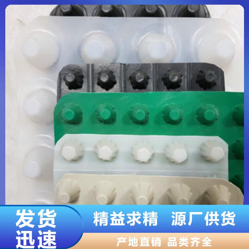 排水板植草格产品参数实力大厂家