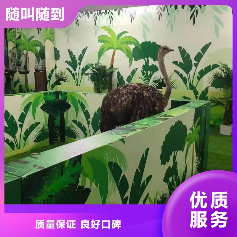 哪里有出租马戏团表演的点击查看本地范围制造商