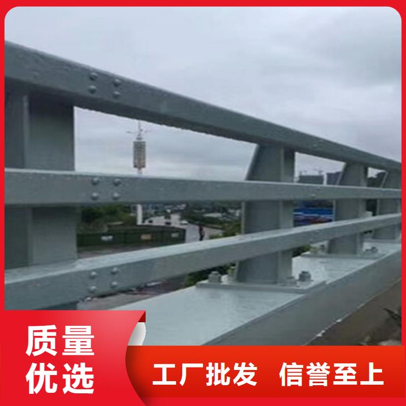  桥梁护栏自营品质有保障辖区内厂家