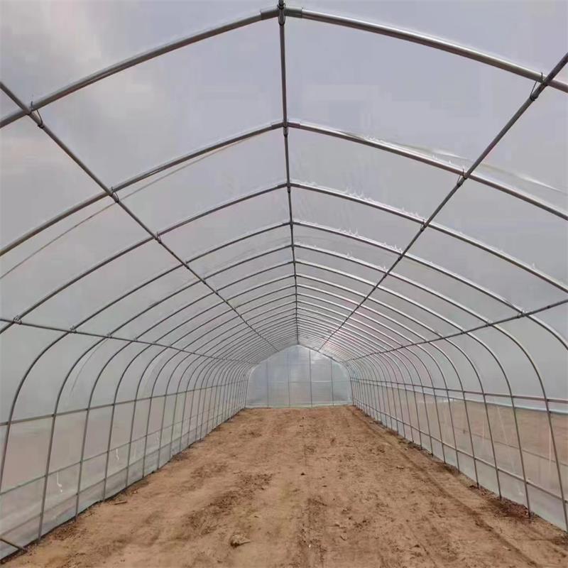 临川区进口利得绿白膜实力厂家专注细节专注品质