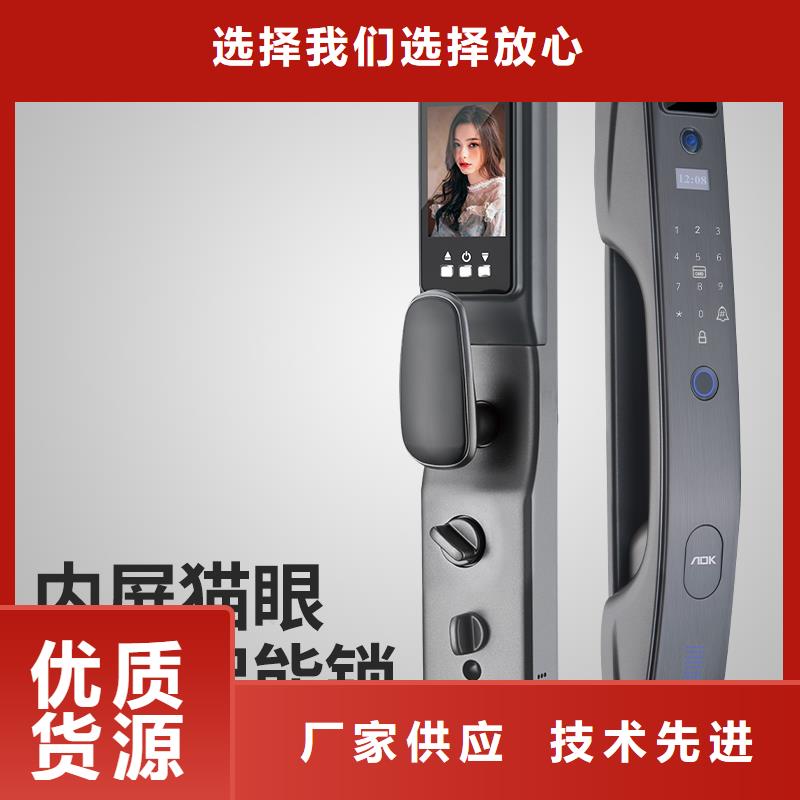 智能锁人脸识别智能锁批发出厂严格质检同城 本地域经销商