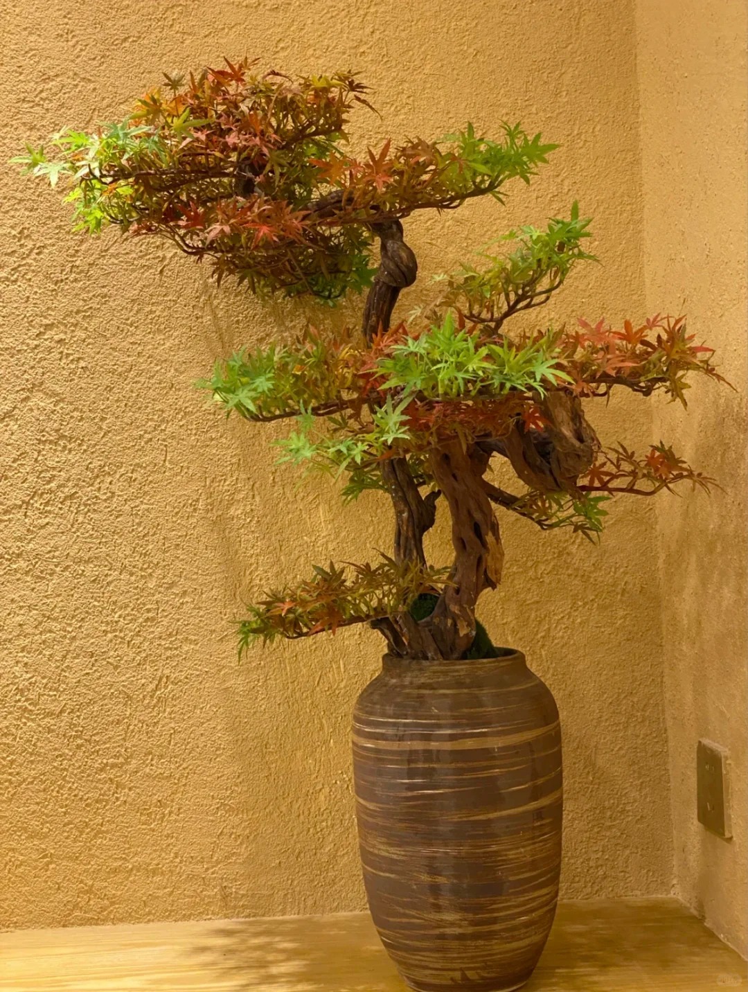 稻草漆施工价格