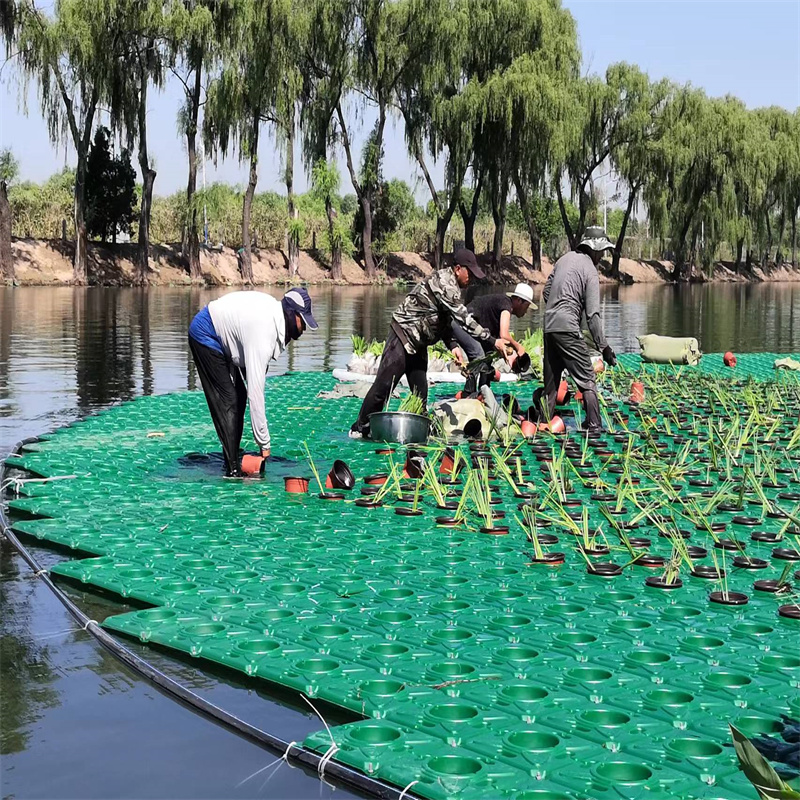 省心：浮床植物厂家