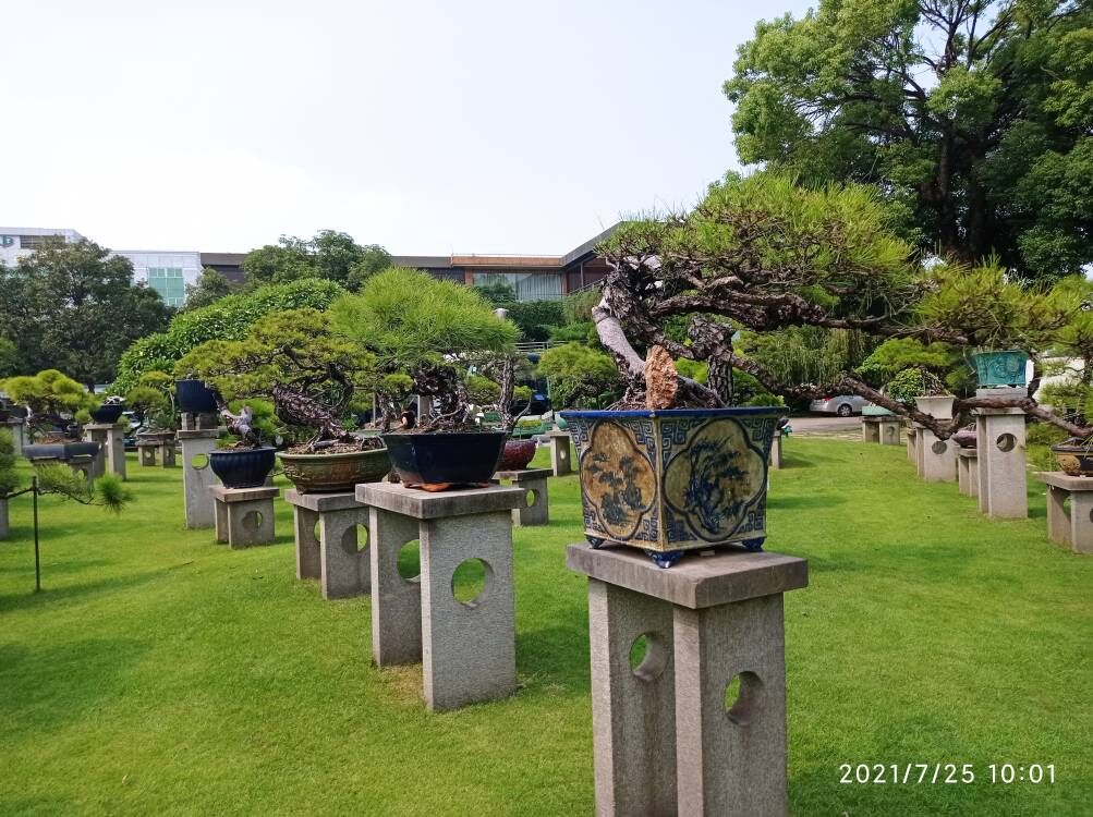 淤泥原位固化污染水体处理厂污水提标施工队伍本地生产厂家