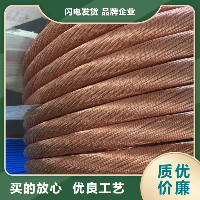 接地铜绞线70㎜2生产许可证本市制造商