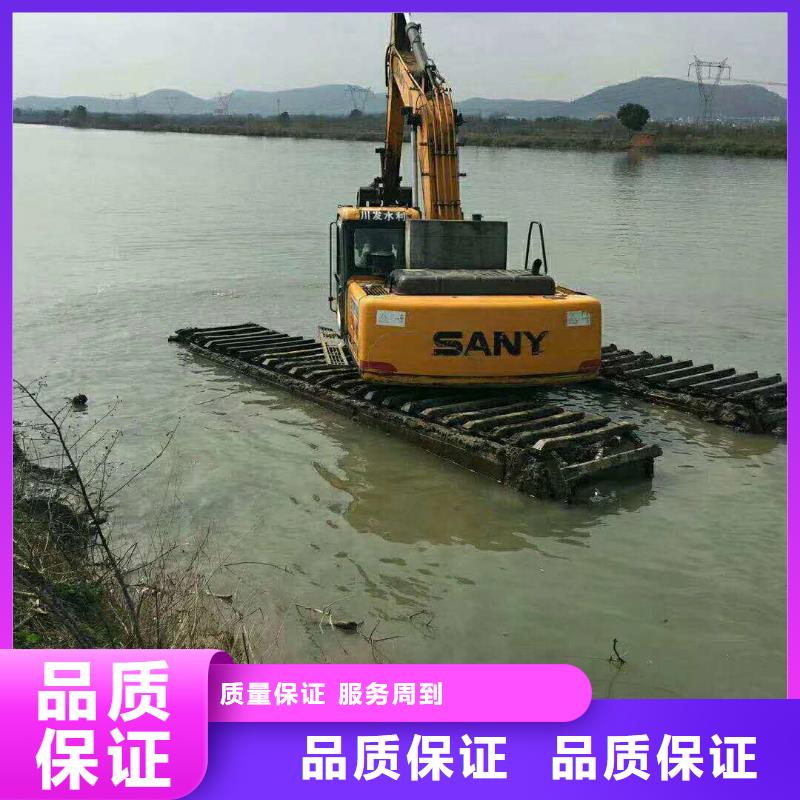 河道清淤工程价格水陆两用挖掘机出租当地服务商
